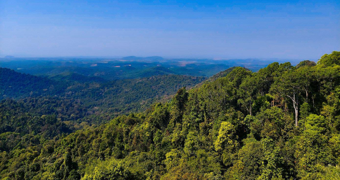 Sirumalai forest and waterfalls
